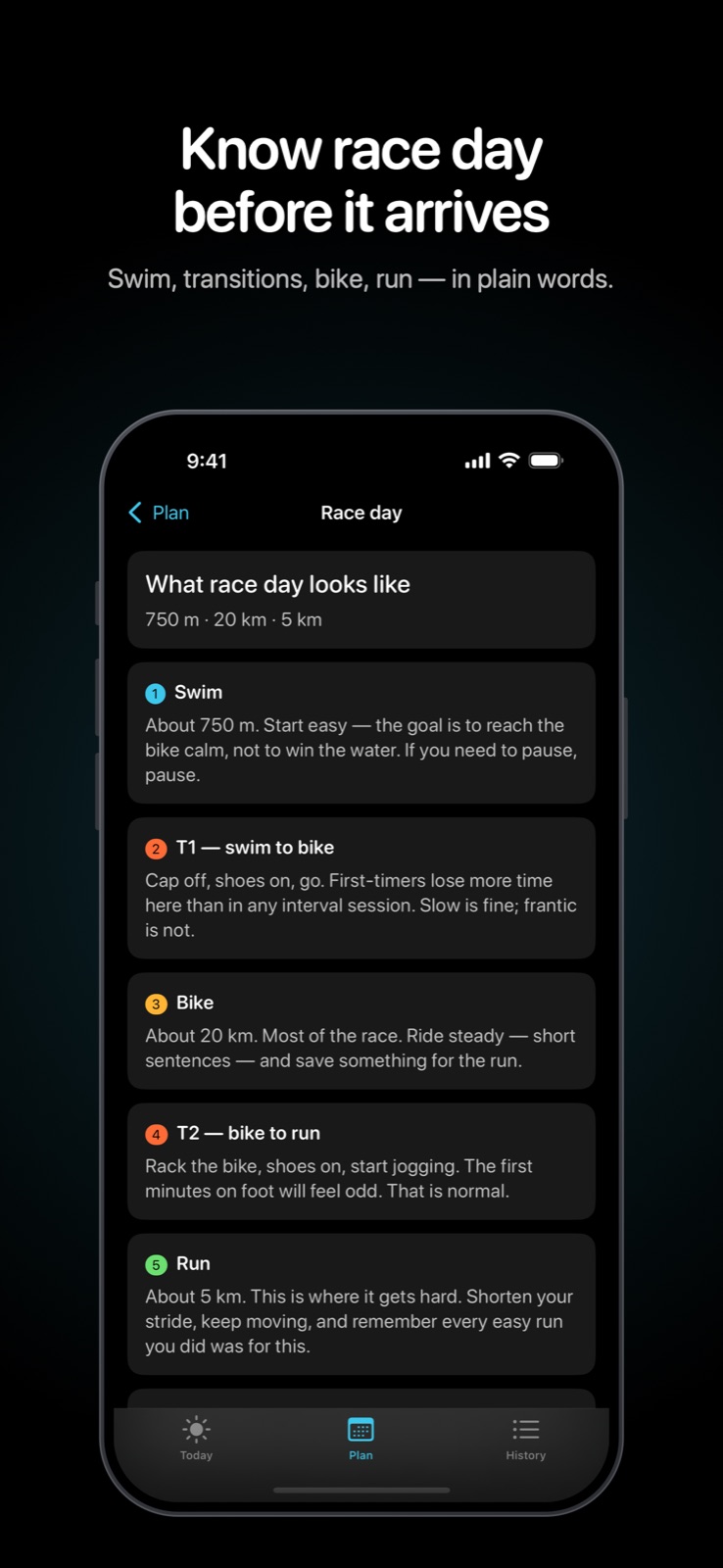 Race day, written in order: the swim, both transitions, the bike, and the run